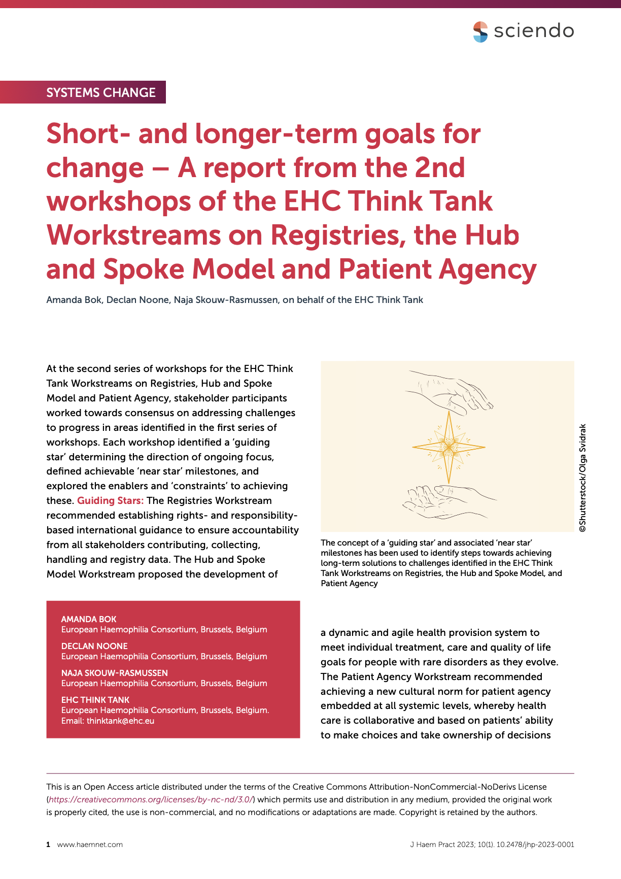 Published paper – Report from the 2nd workshops of the Workstreams on Registries, the Hub and Spoke Model and Patient Agency
