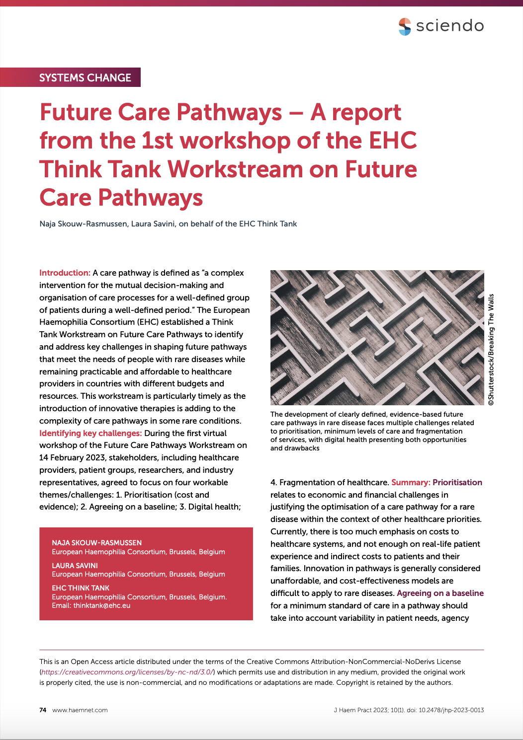 Just published! Report from the 1st workshop of the Future Care Pathways workstream